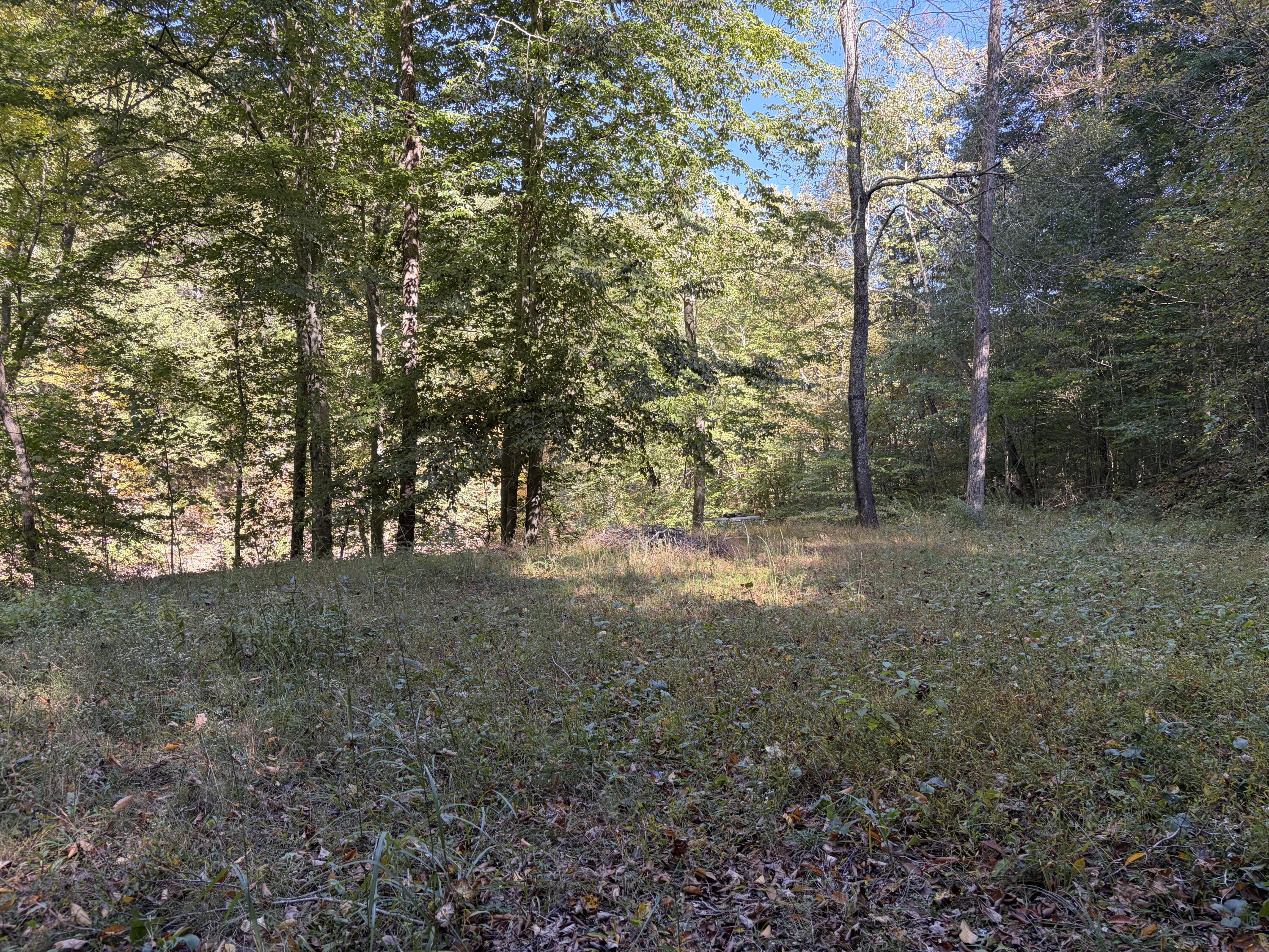 3252 Scotts Branch Road Property Photo 25