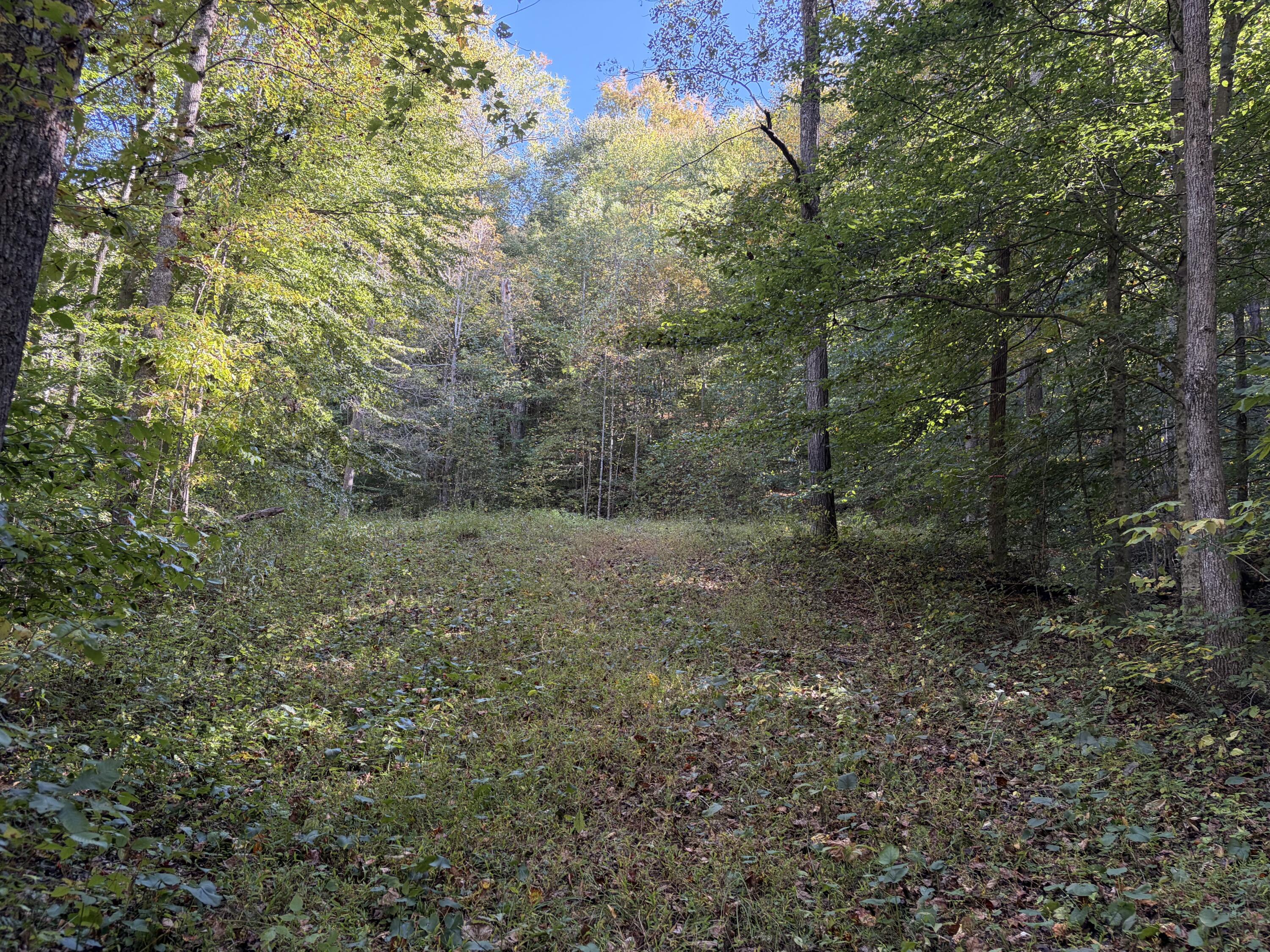 3252 Scotts Branch Road Property Photo 26