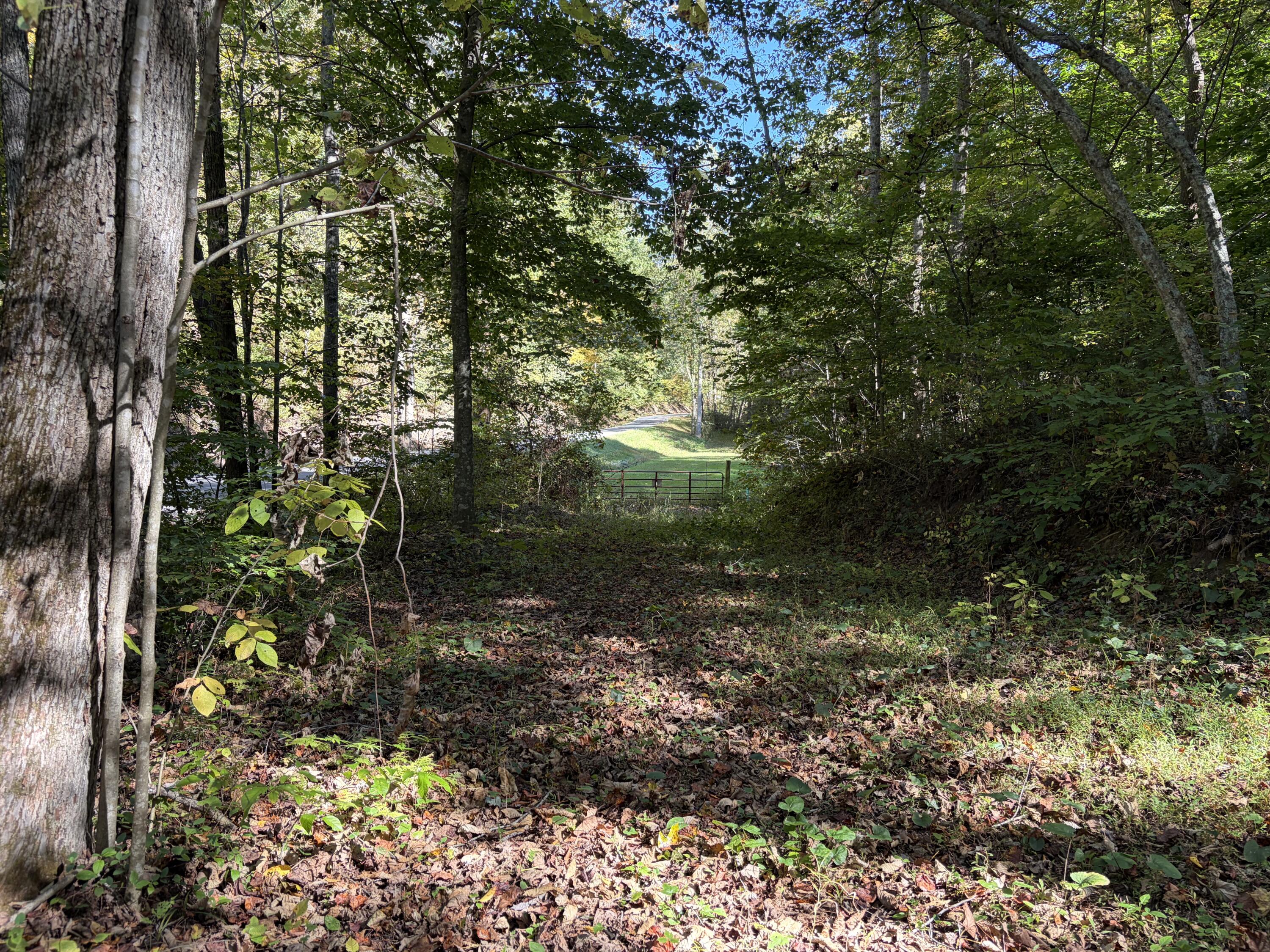 3252 Scotts Branch Road Property Photo 27