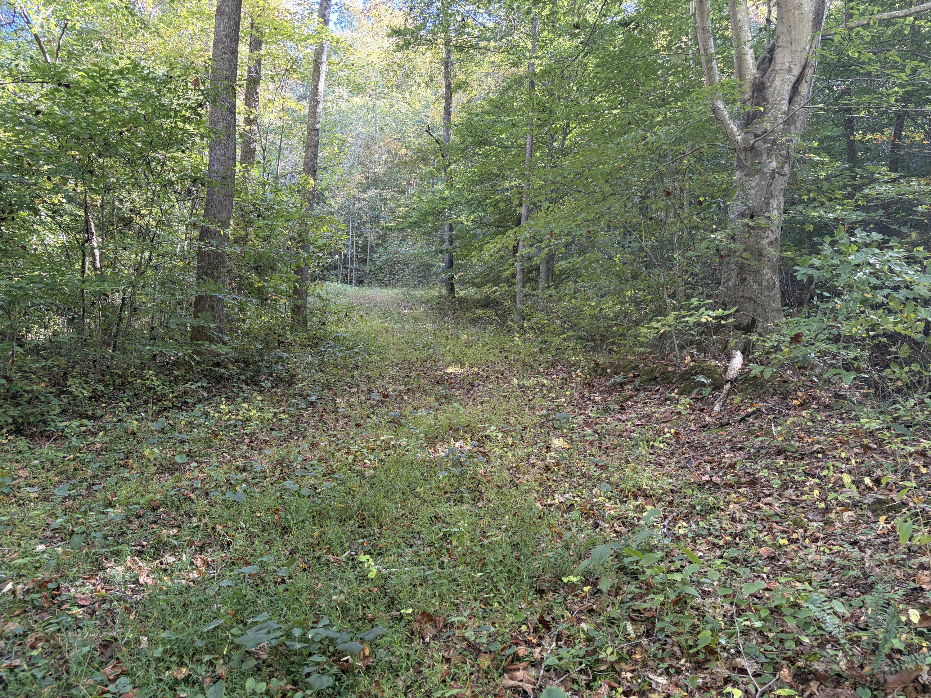 3252 Scotts Branch Road Property Photo 28