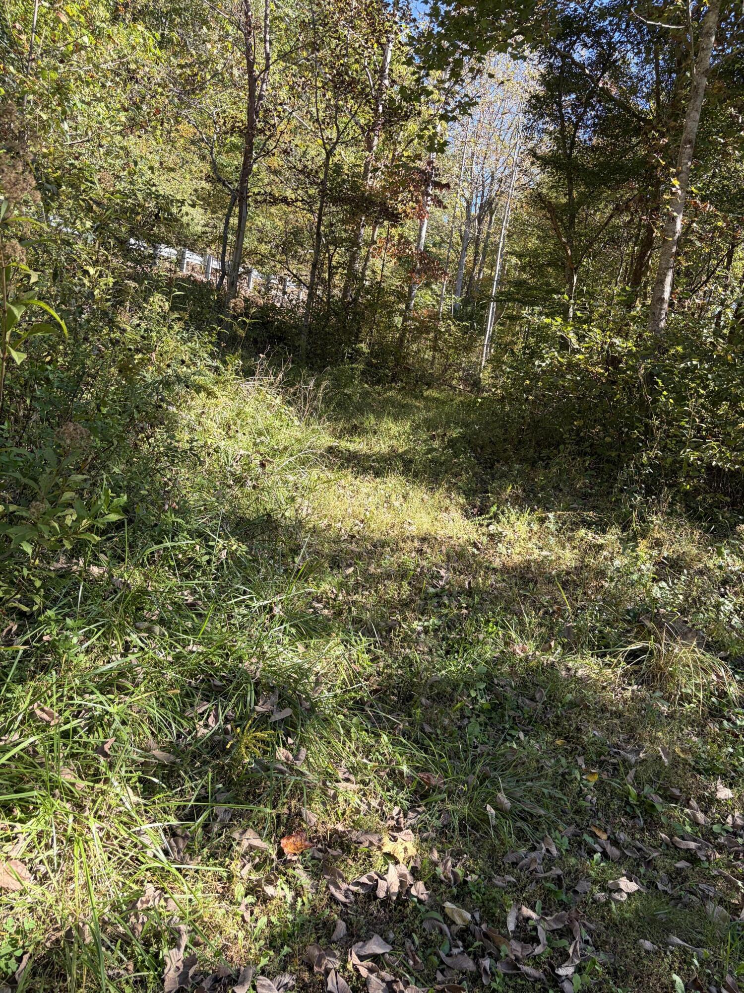 3252 Scotts Branch Road Property Photo 29