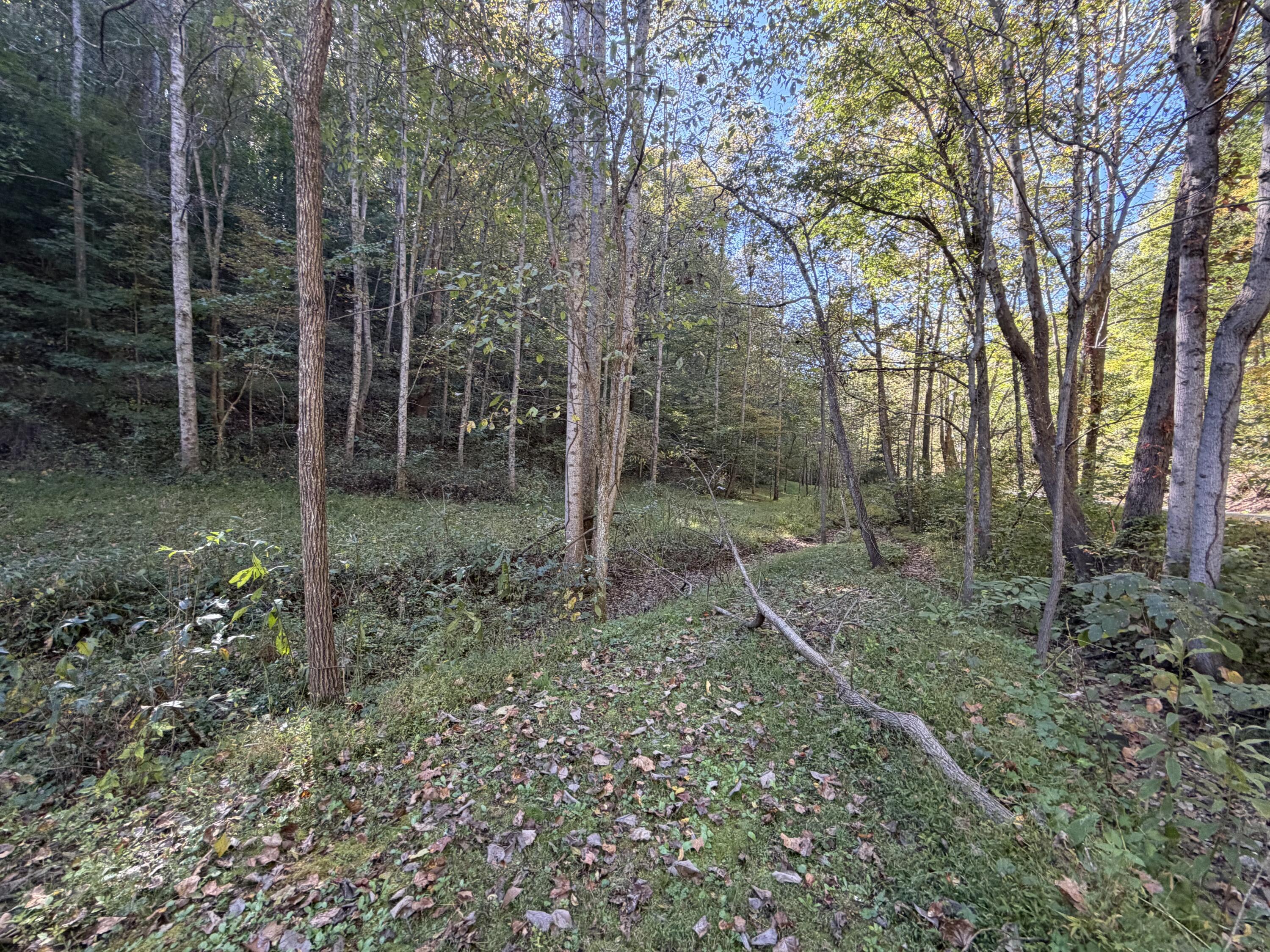 3252 Scotts Branch Road Property Photo 30