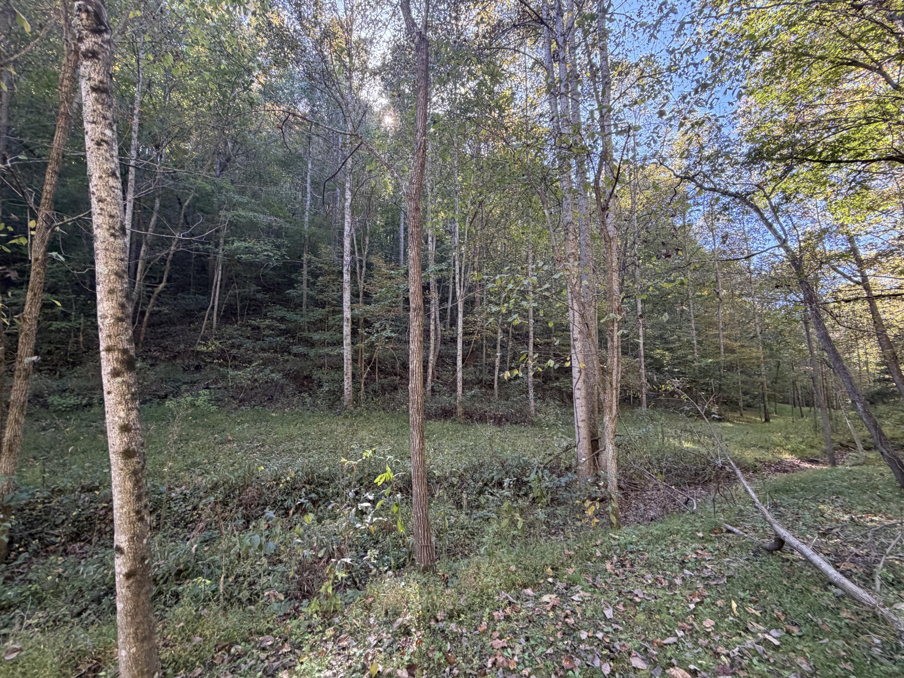 3252 Scotts Branch Road Property Photo 31