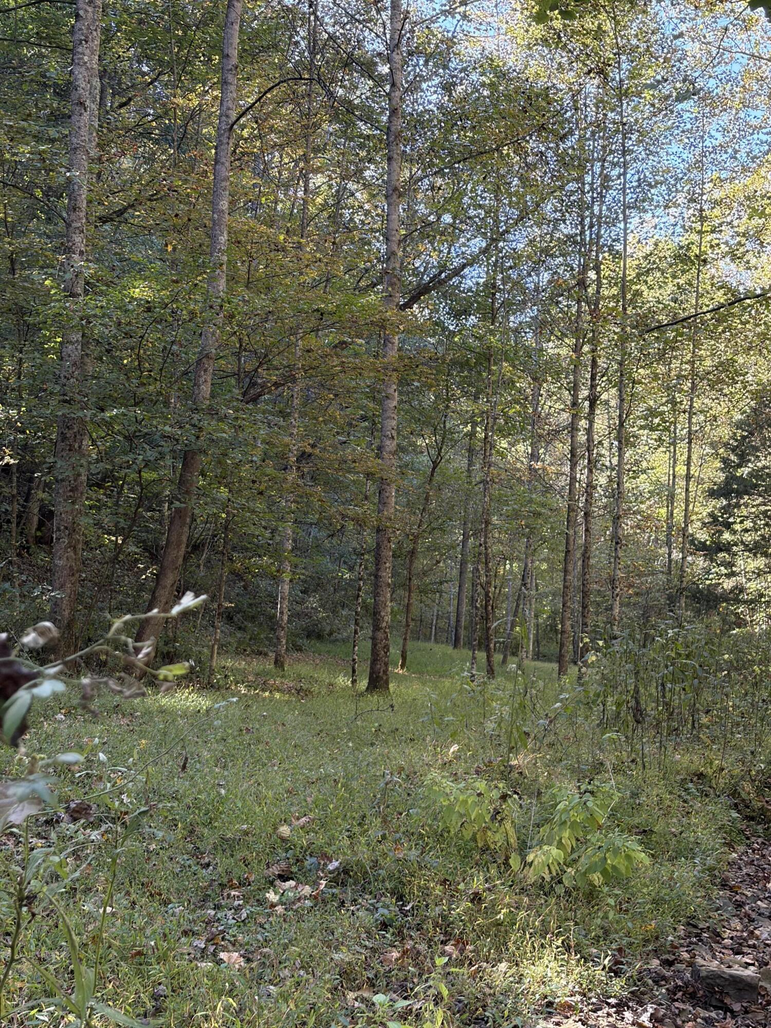 3252 Scotts Branch Road Property Photo 32