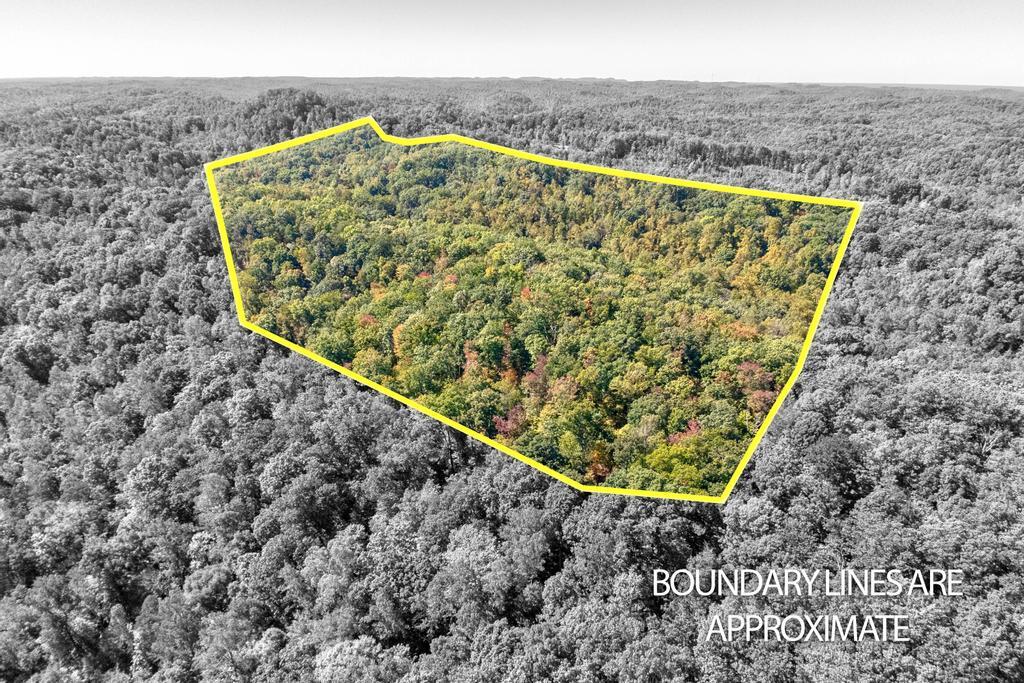 0 Cow Creek Road Property Photo 1