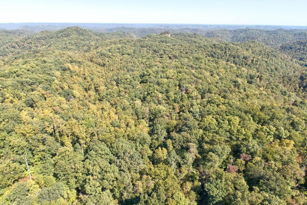 0 Cow Creek Road Property Photo 2