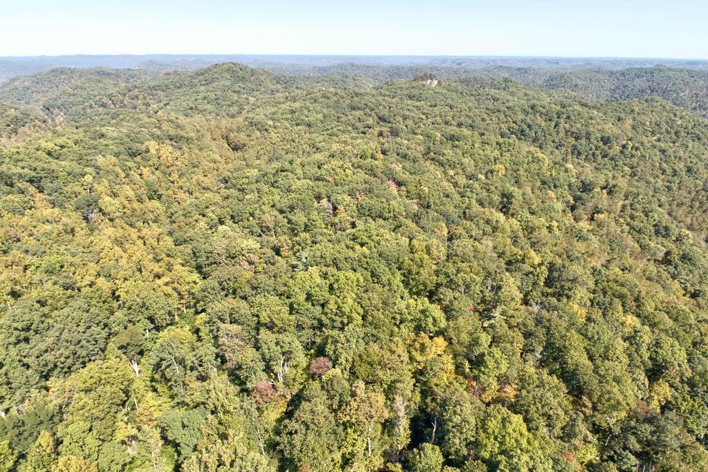 0 Cow Creek Road Property Photo 3