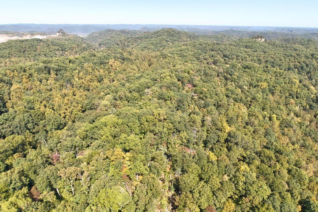 0 Cow Creek Road Property Photo 4
