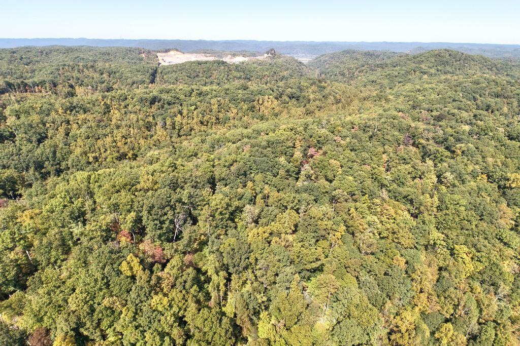 0 Cow Creek Road Property Photo 5