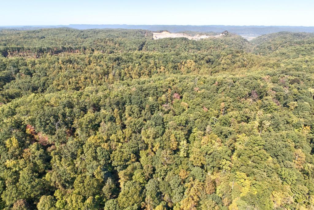 0 Cow Creek Road Property Photo 6