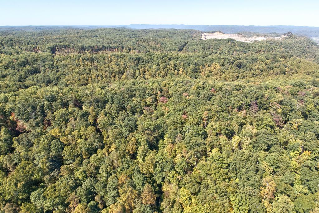 0 Cow Creek Road Property Photo 7