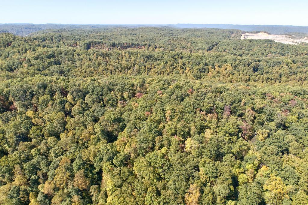 0 Cow Creek Road Property Photo 8