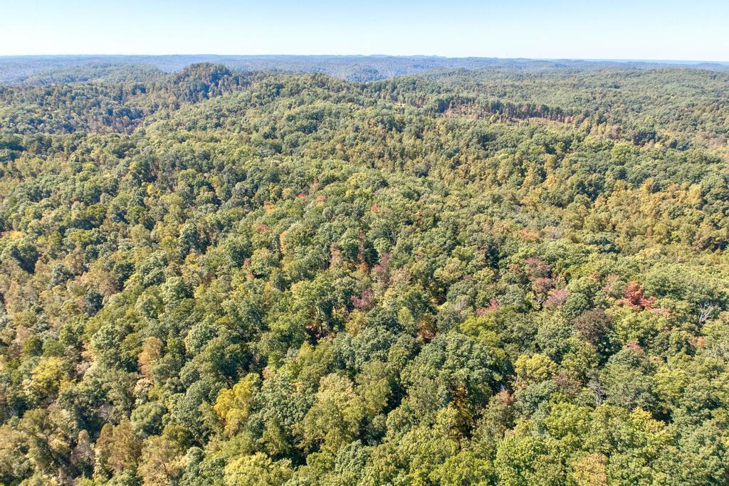0 Cow Creek Road Property Photo 10