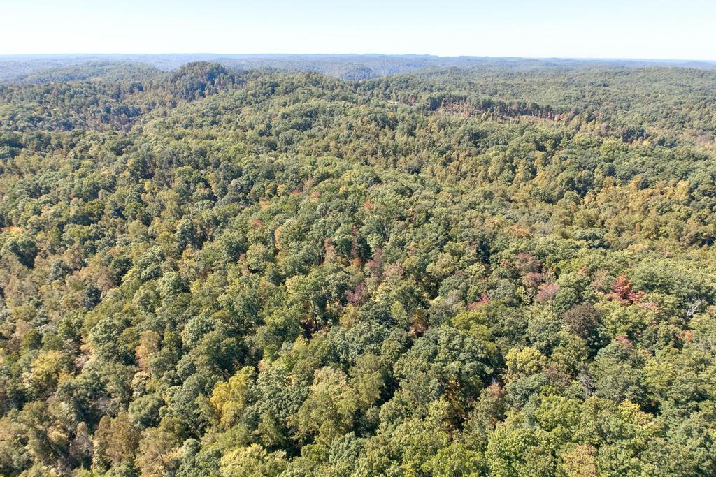 0 Cow Creek Road Property Photo 11