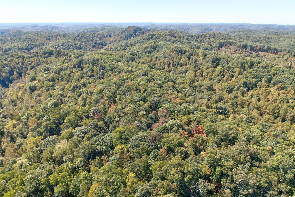 0 Cow Creek Road Property Photo 12