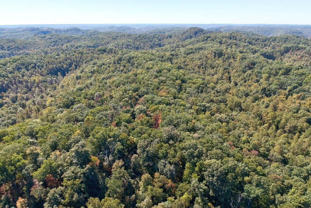 0 Cow Creek Road Property Photo 13
