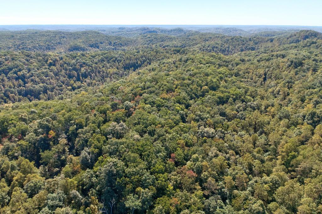 0 Cow Creek Road Property Photo 14