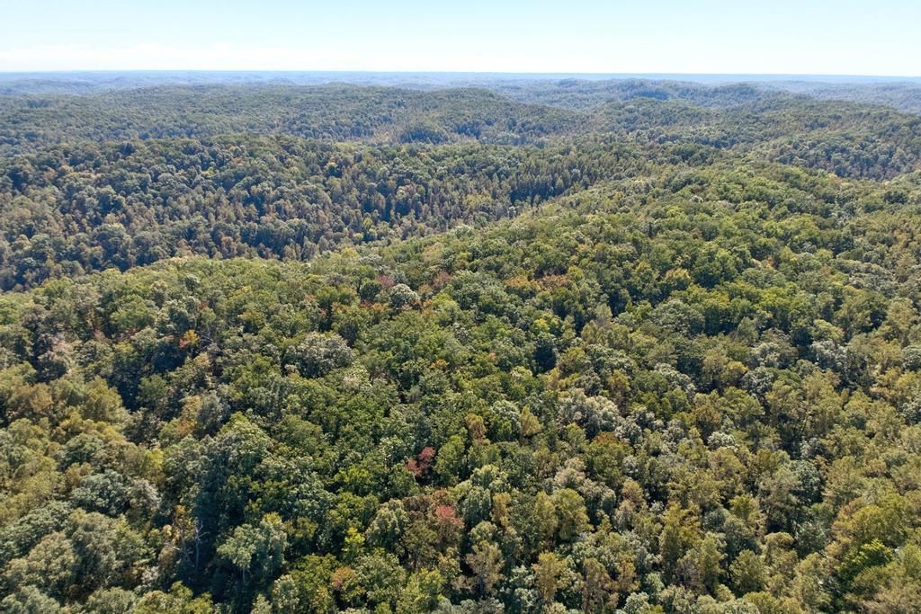 0 Cow Creek Road Property Photo 15
