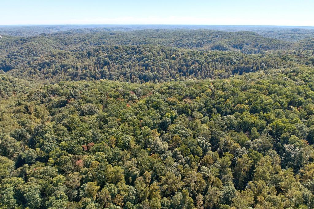0 Cow Creek Road Property Photo 16