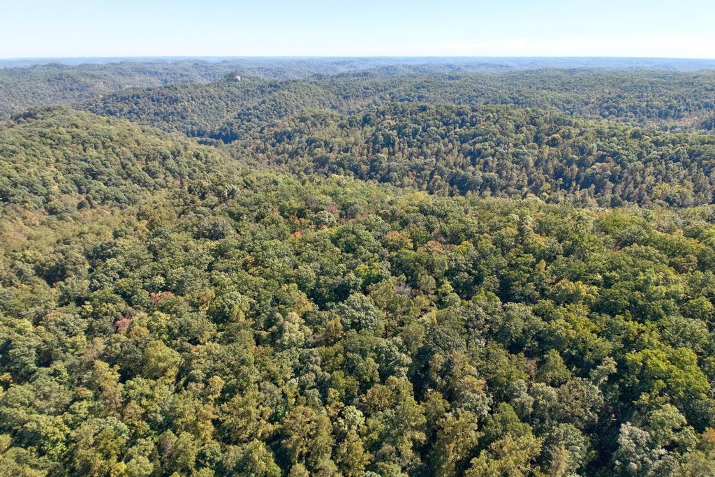 0 Cow Creek Road Property Photo 17