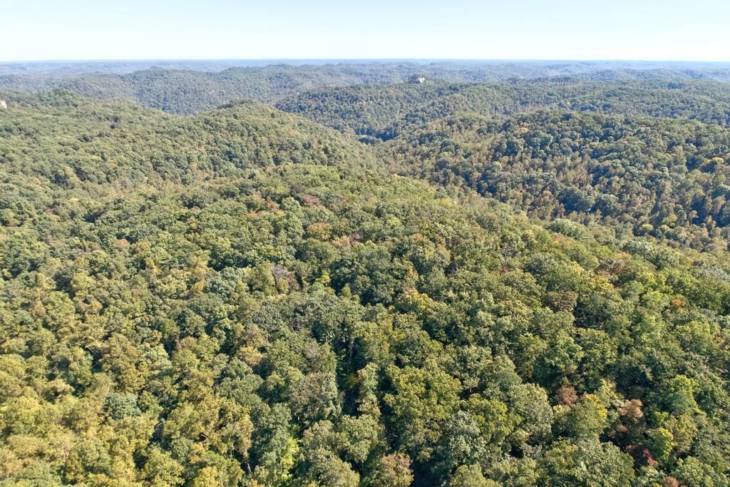 0 Cow Creek Road Property Photo 18