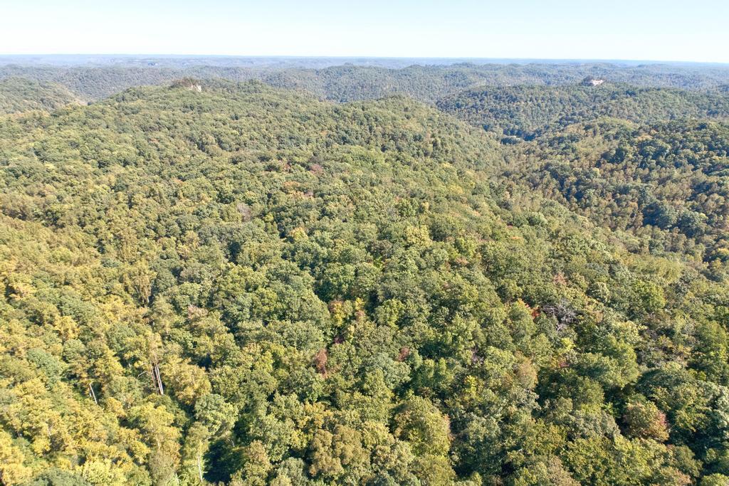 0 Cow Creek Road Property Photo 19