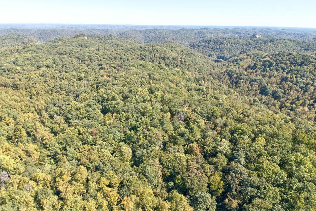 0 Cow Creek Road Property Photo 20