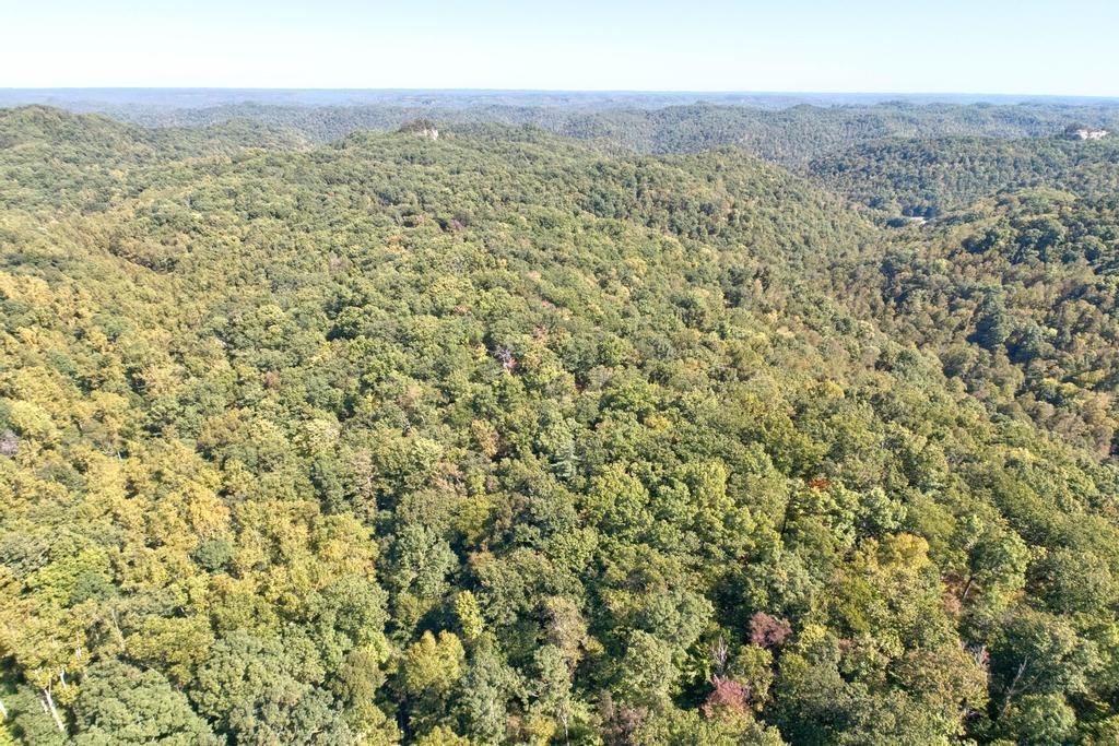 0 Cow Creek Road Property Photo 21