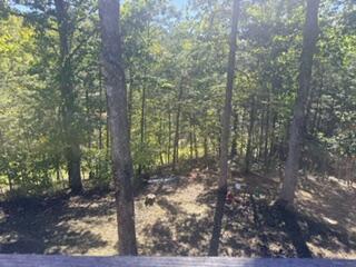 15486 Riva Ridge Property Photo 28