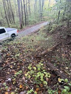 0 Peter Branch Of Wolf Creek 72.87 Acres/ 24 Acres Property Photo 3