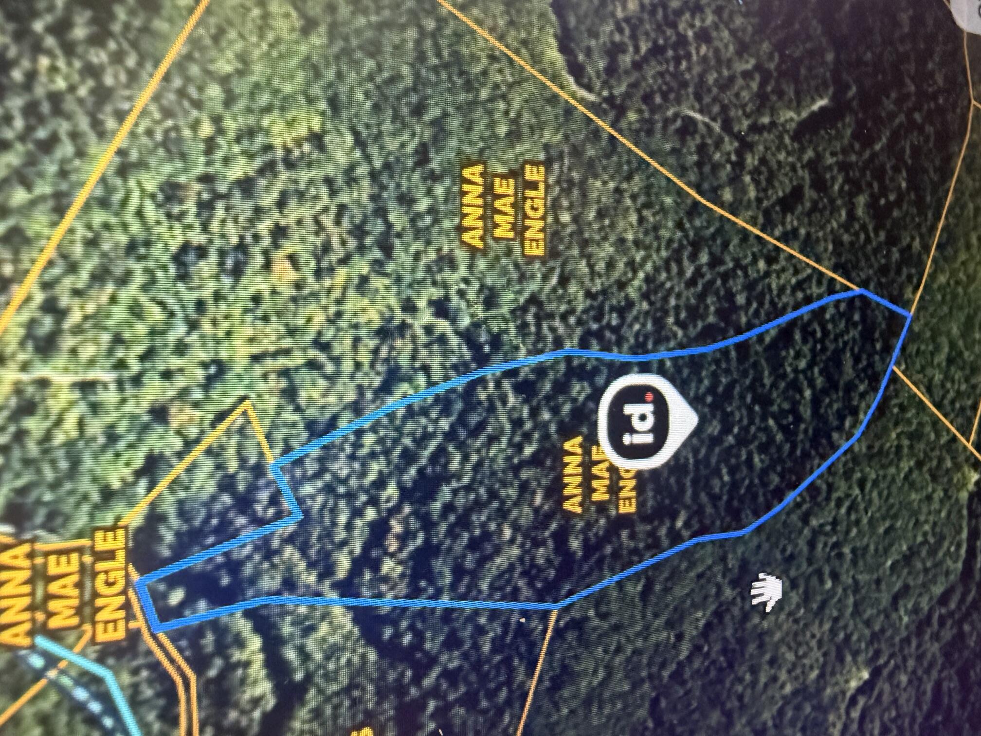 72.87 Acres/ 24 Acres Peter Branch Of Wolf Creek Property Photo 1