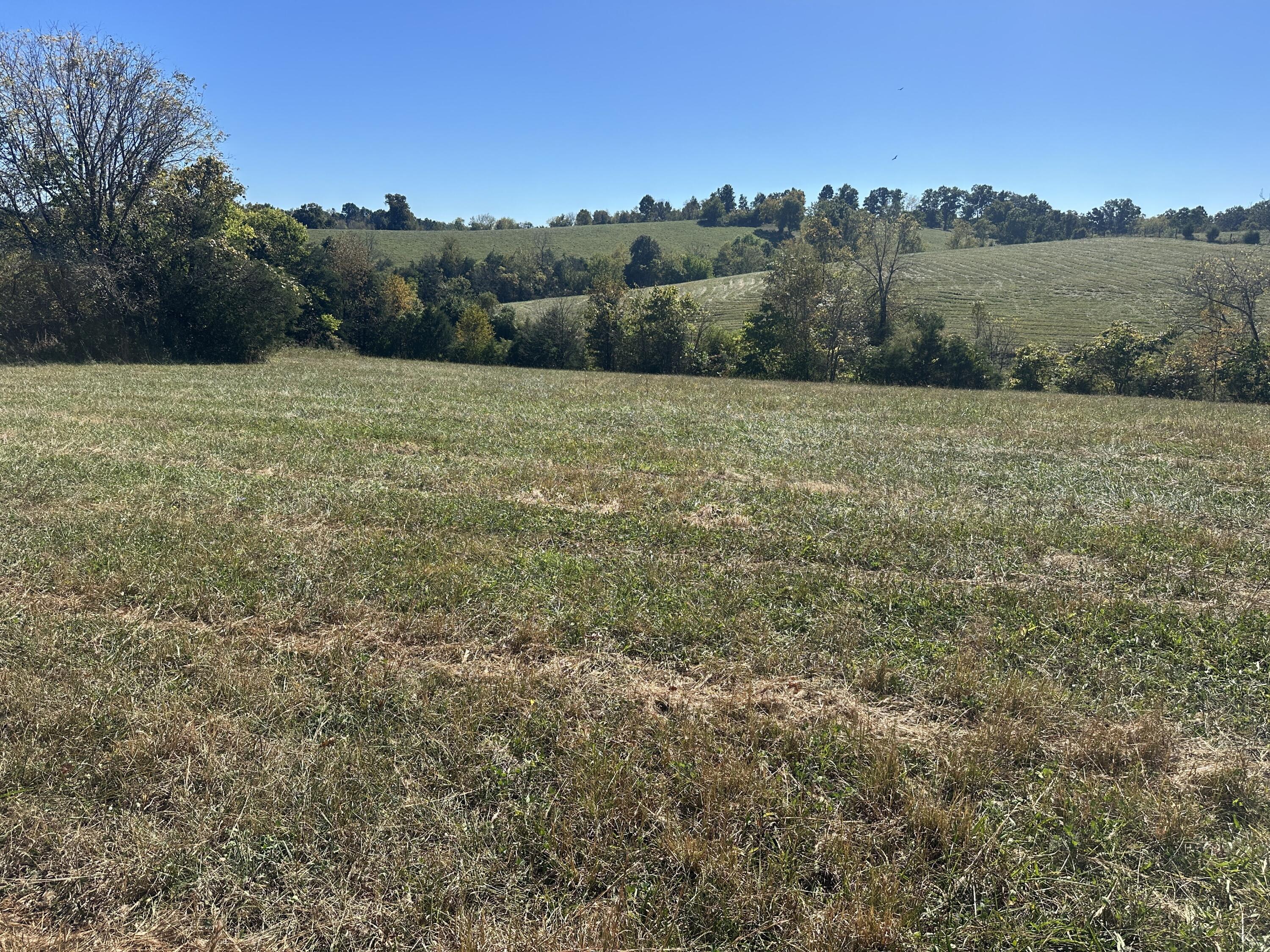 358 Bobtown Garnett Road Property Photo 6