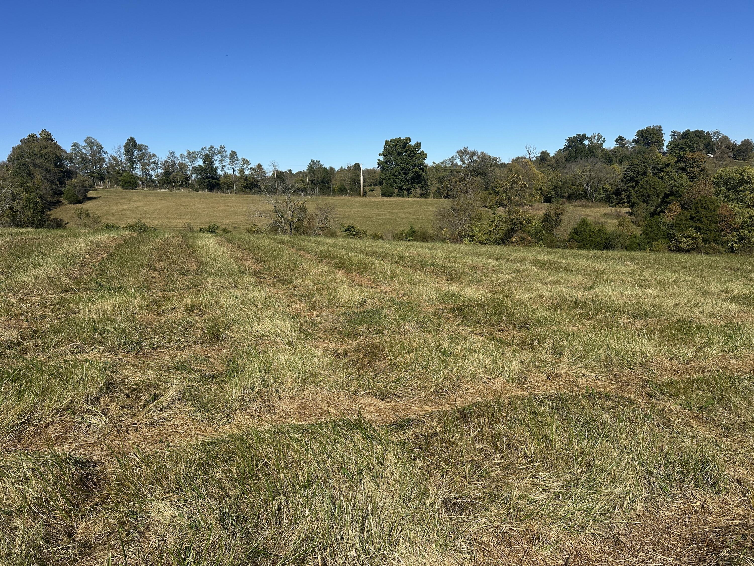 358 Bobtown Garnett Road Property Photo 7