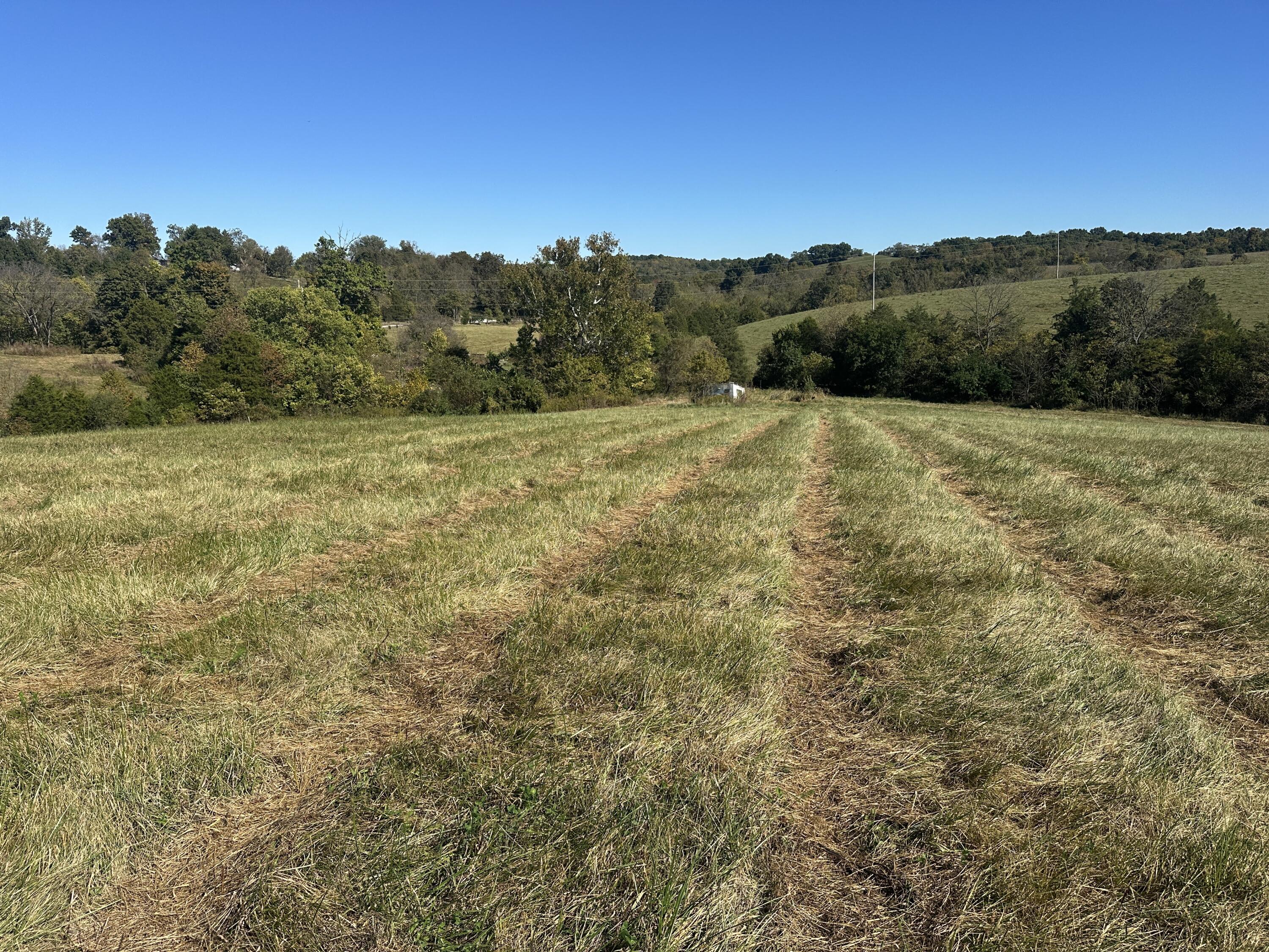 358 Bobtown Garnett Road Property Photo 8