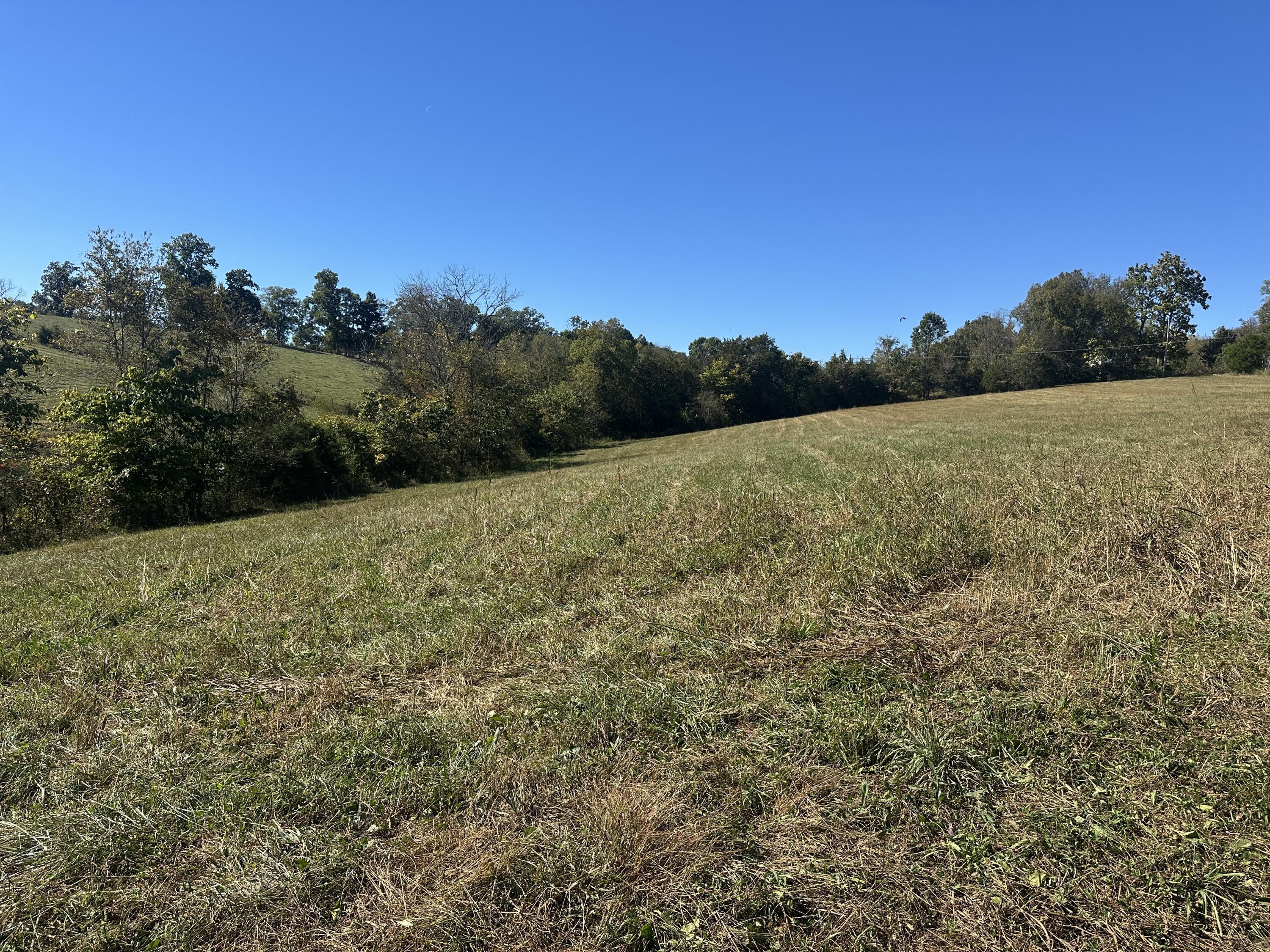 358 Bobtown Garnett Road Property Photo 4