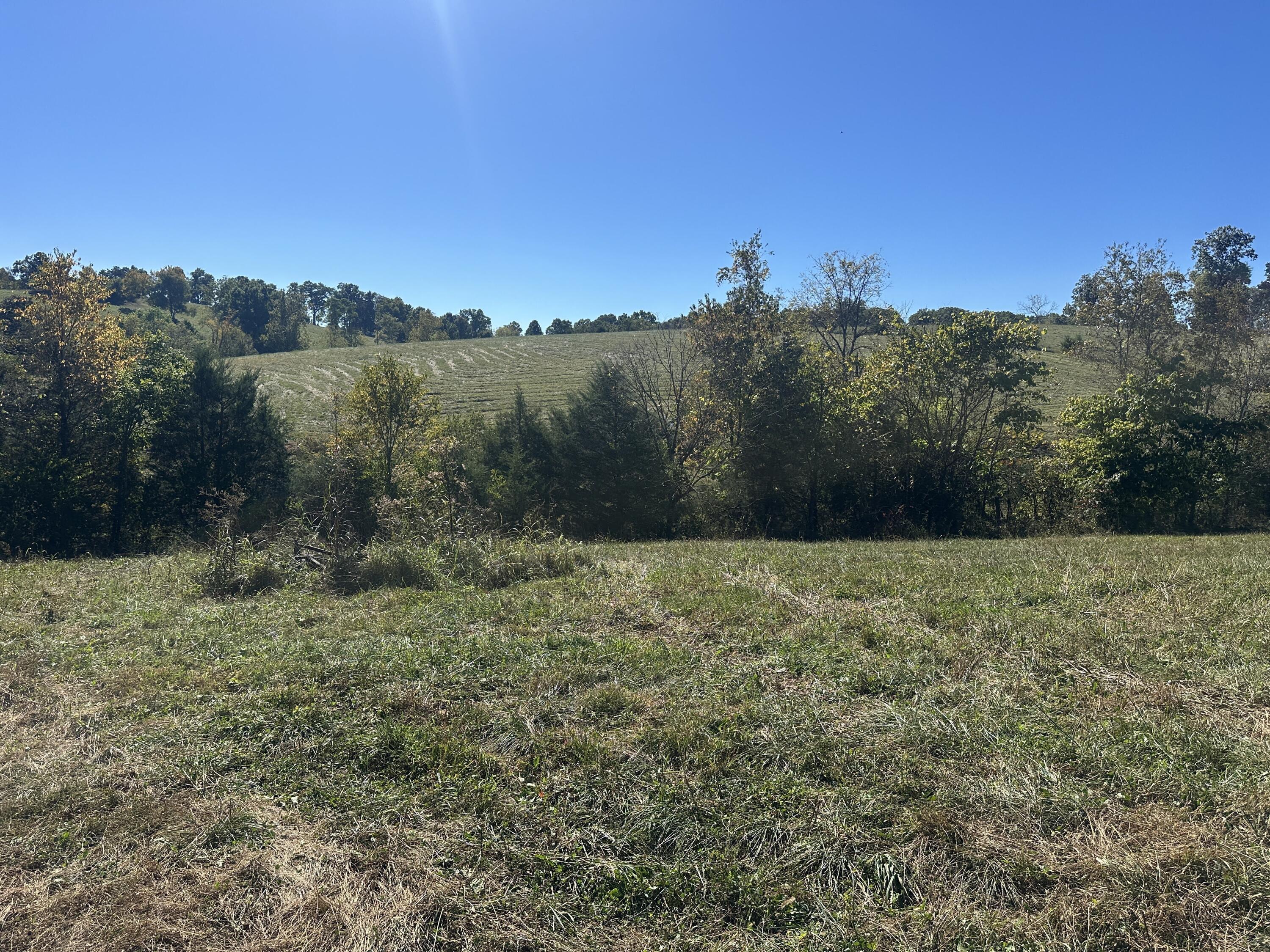 358 Bobtown Garnett Road Property Photo 5
