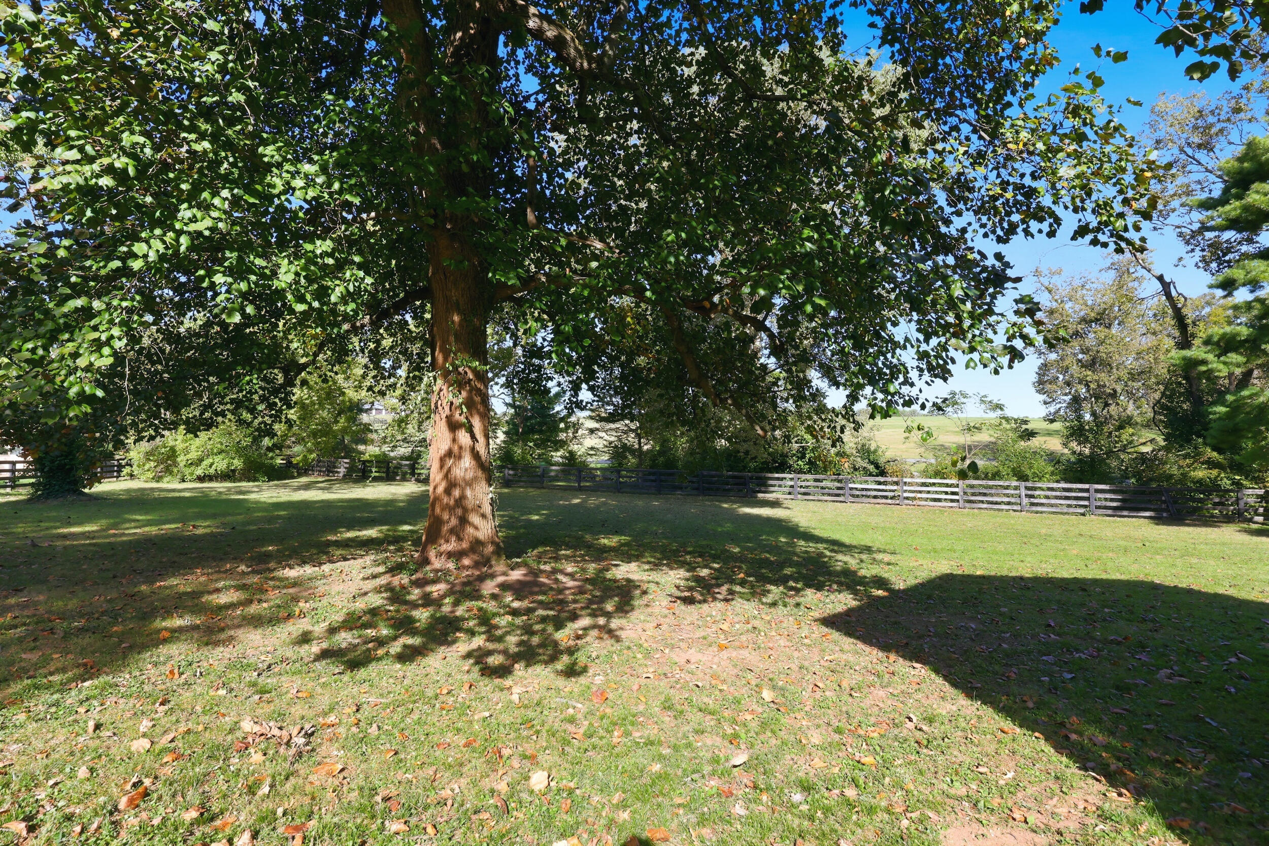 2535 Berea Road Property Photo 33