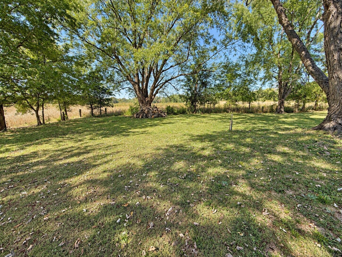 832 Irma Road Property Photo 22