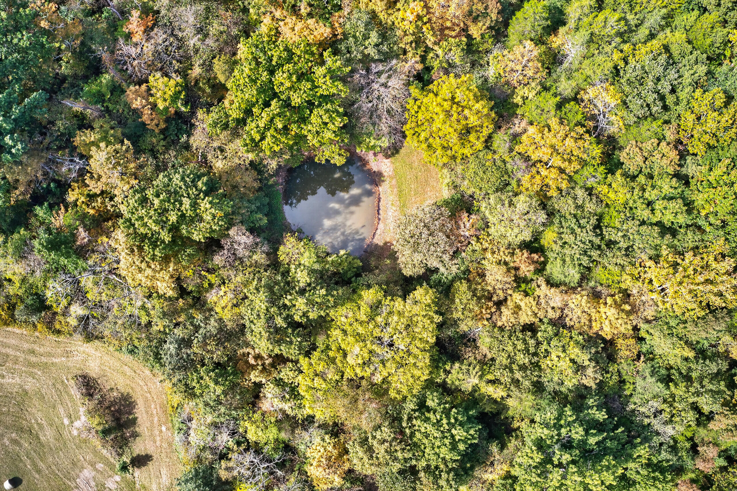1301 Powell Taylor Road Property Photo 62
