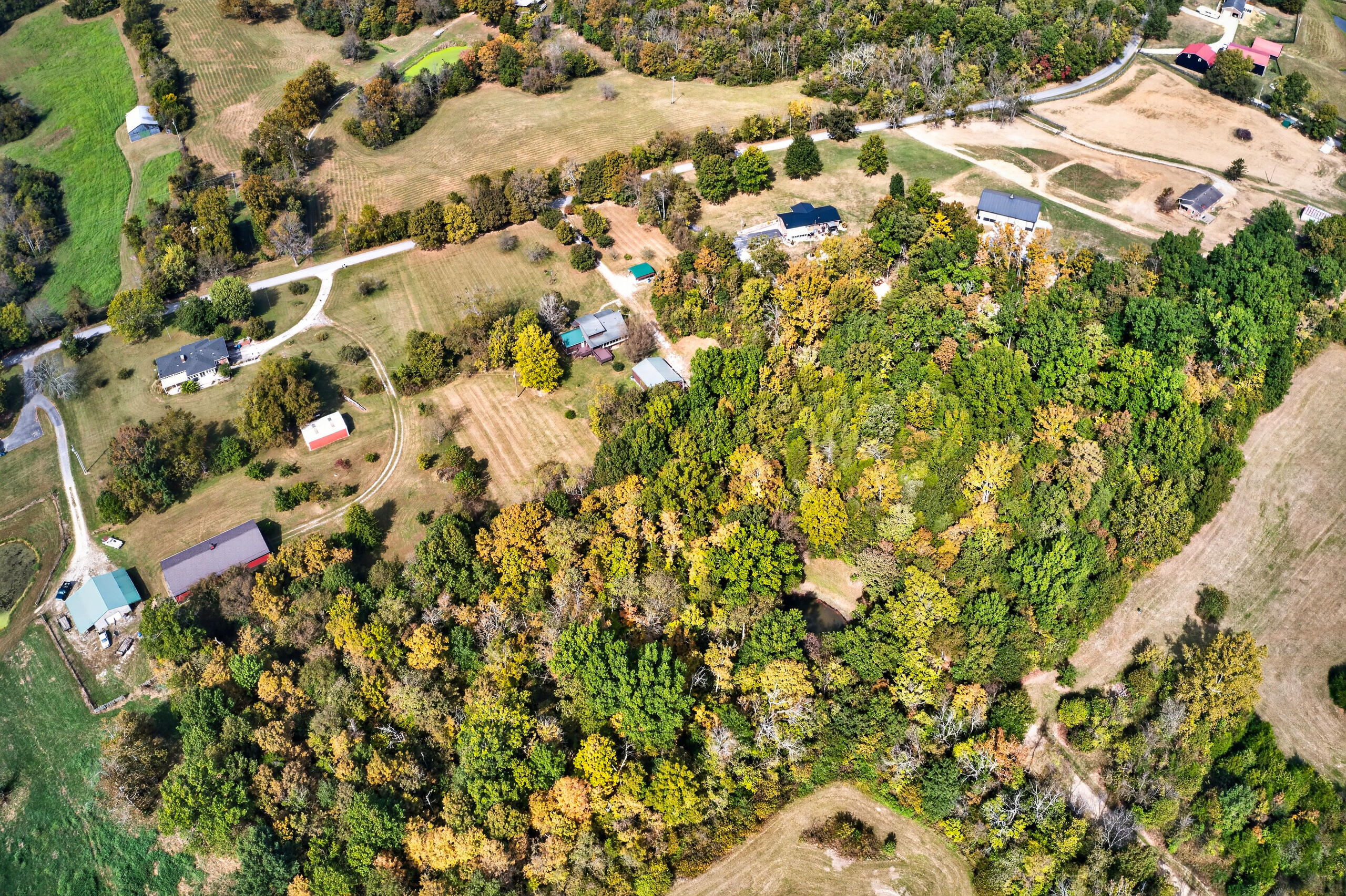1301 Powell Taylor Road Property Photo 64