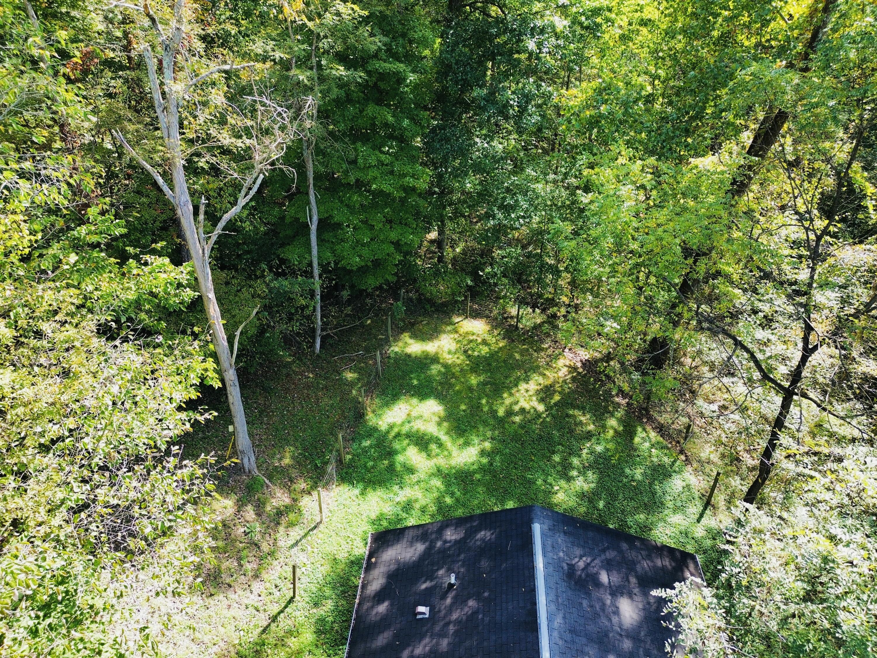 522 Town Branch Road Property Photo 2