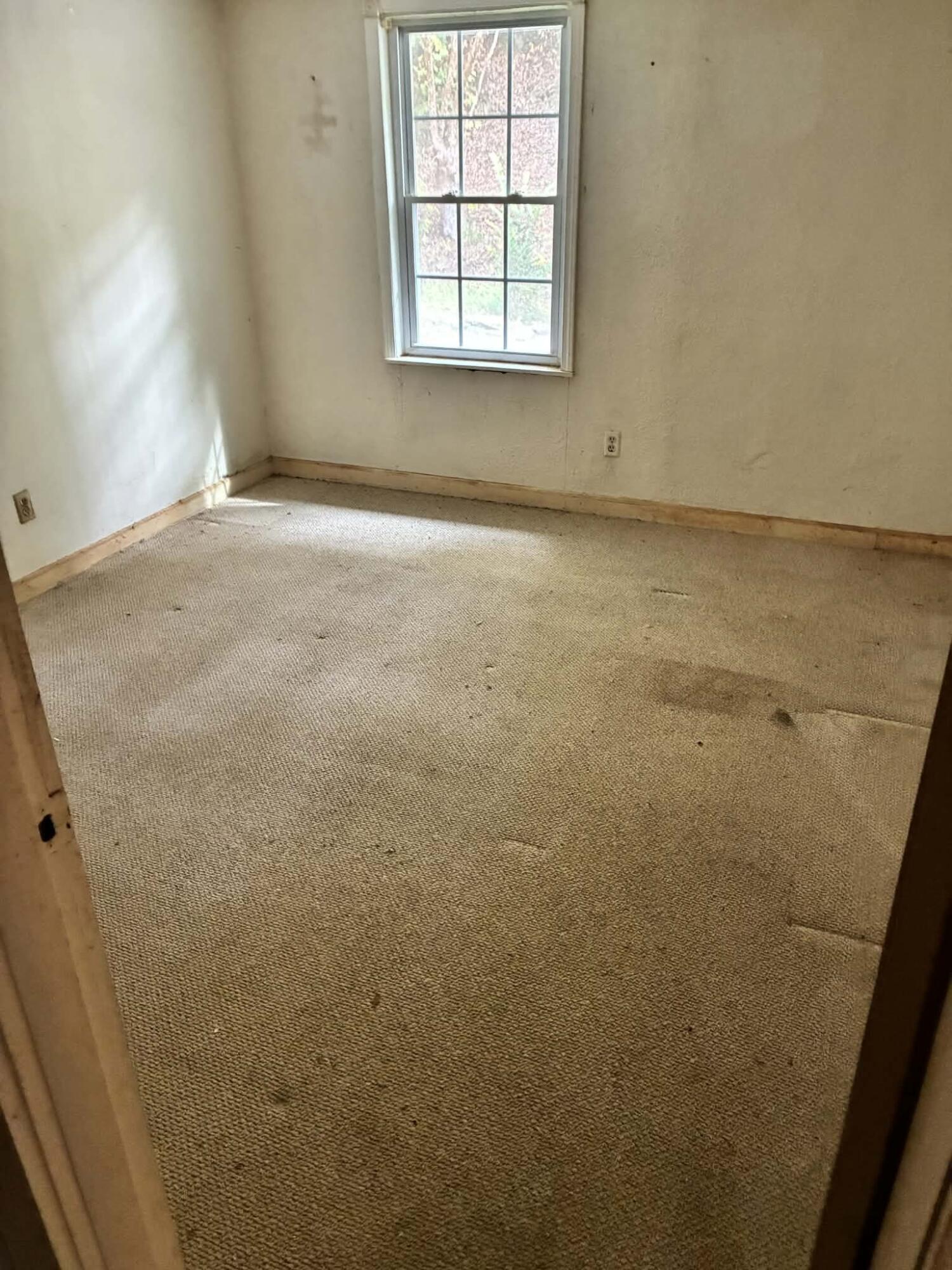 386 Mahaffey Hollow Road Property Photo 11