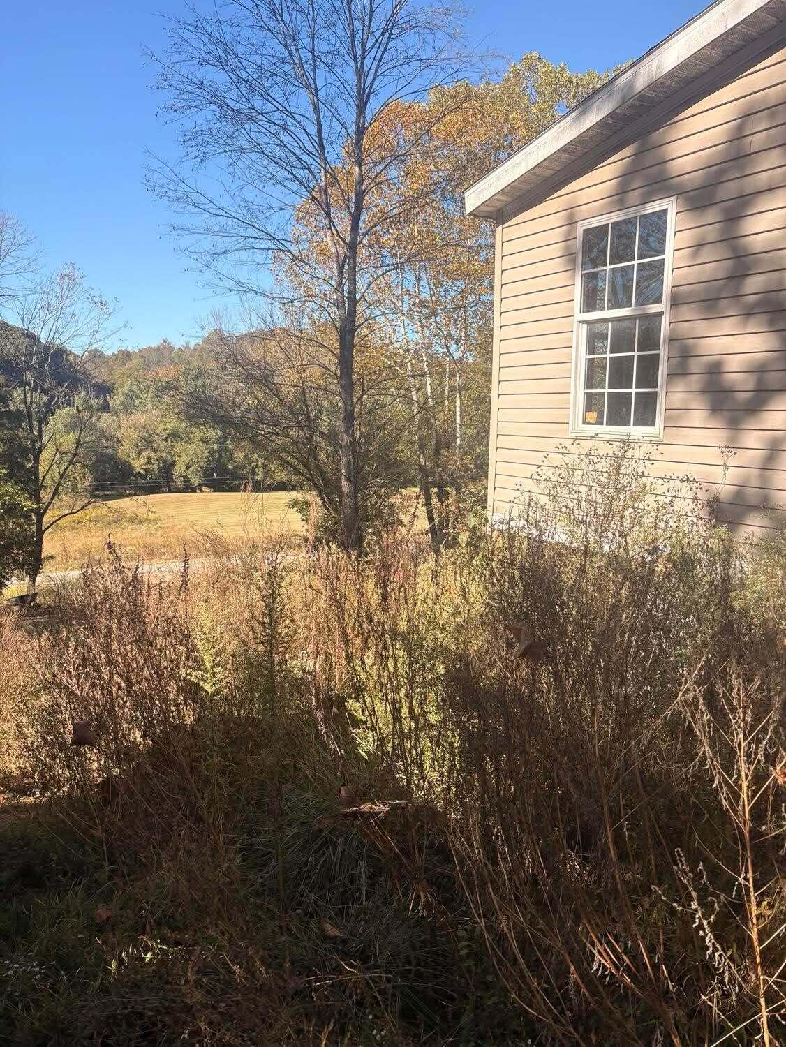 453 River Road Property Photo 9
