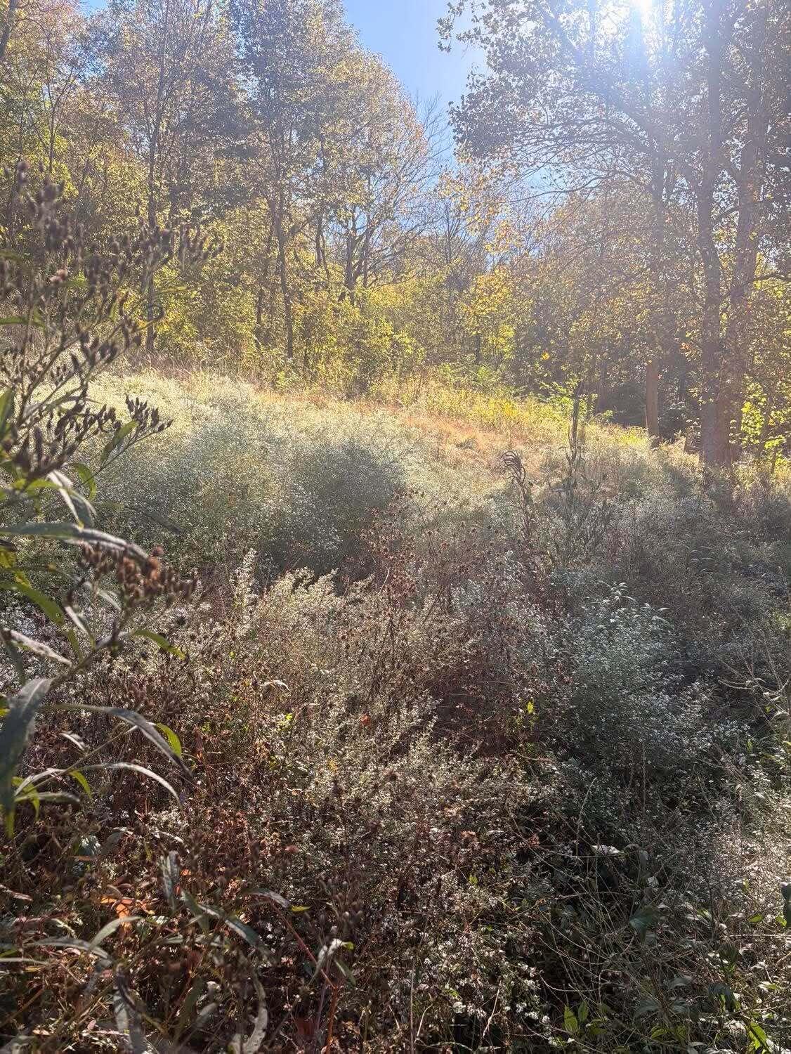 453 River Road Property Photo 13