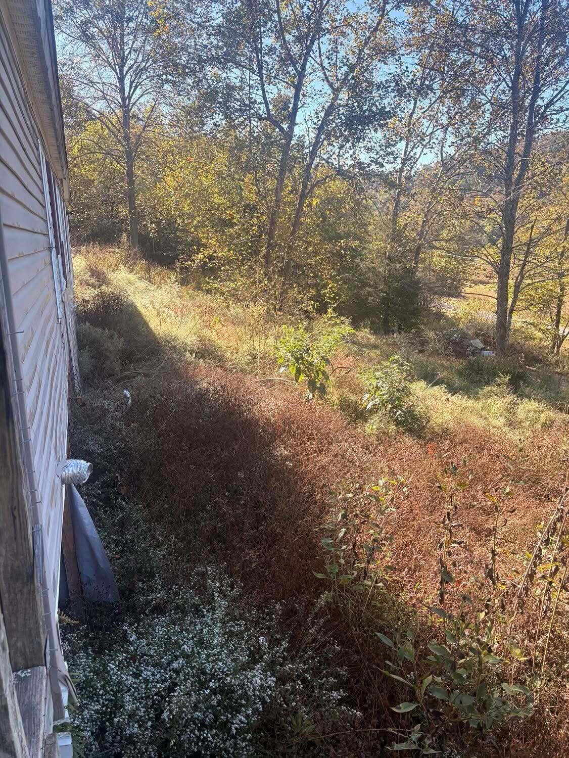 453 River Road Property Photo 15