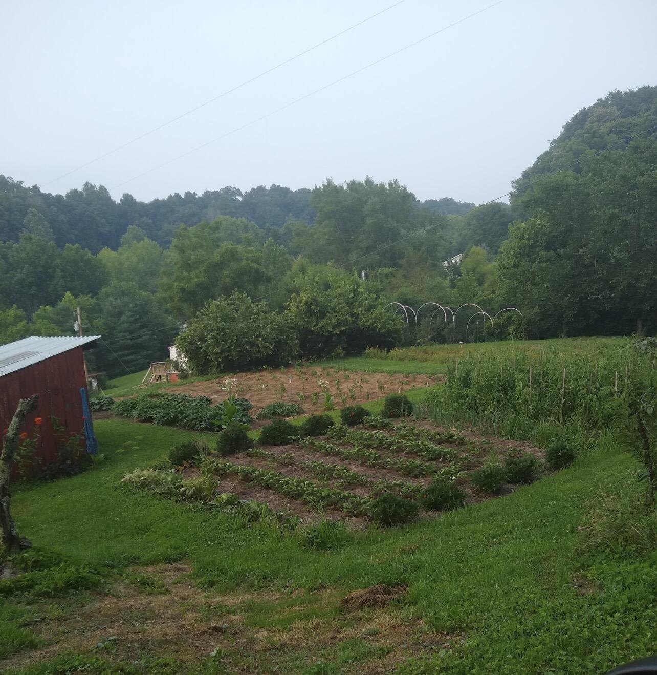 9095 Winchester Road Property Photo 47