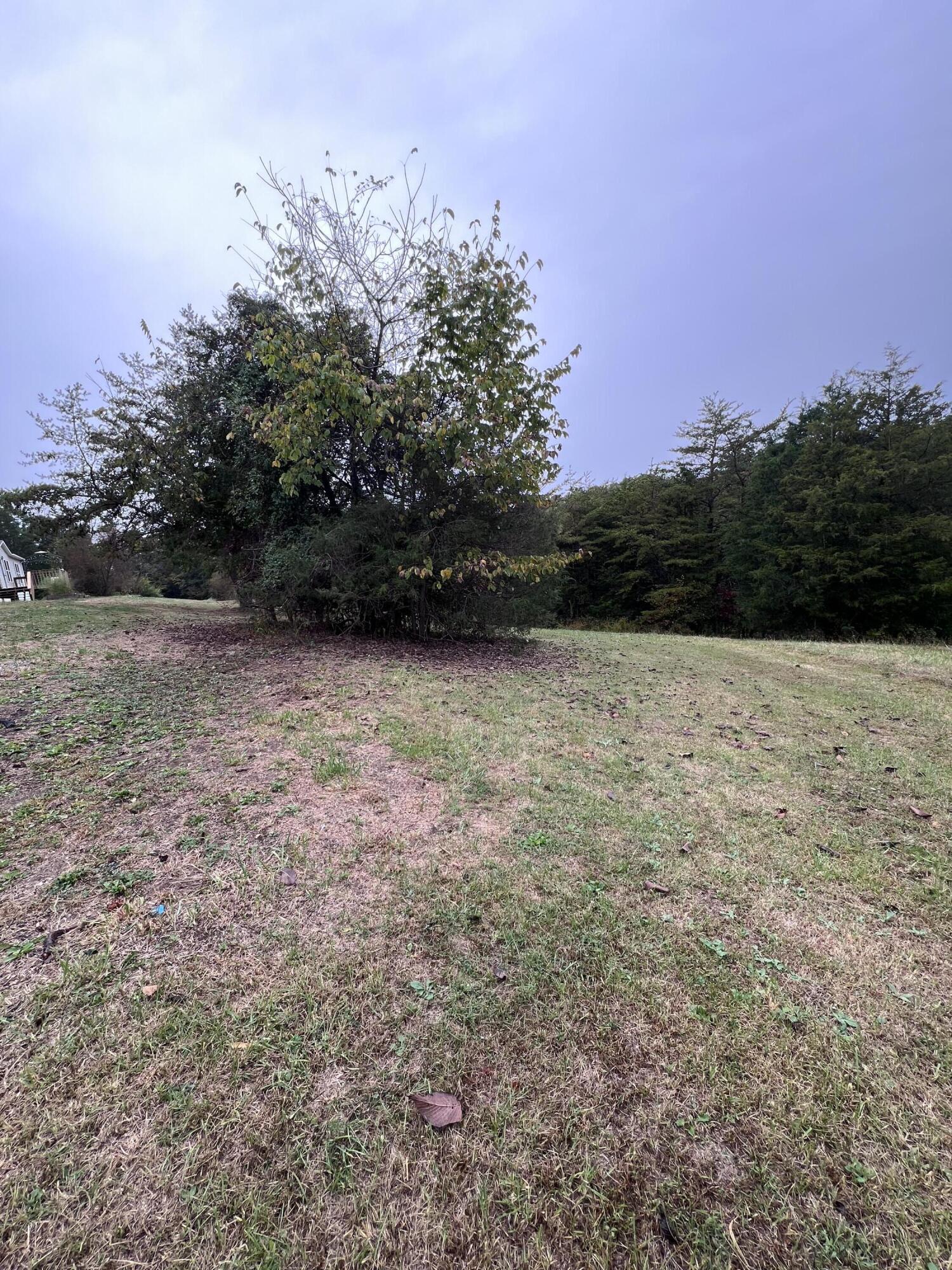 9095 Winchester Road Property Photo 54
