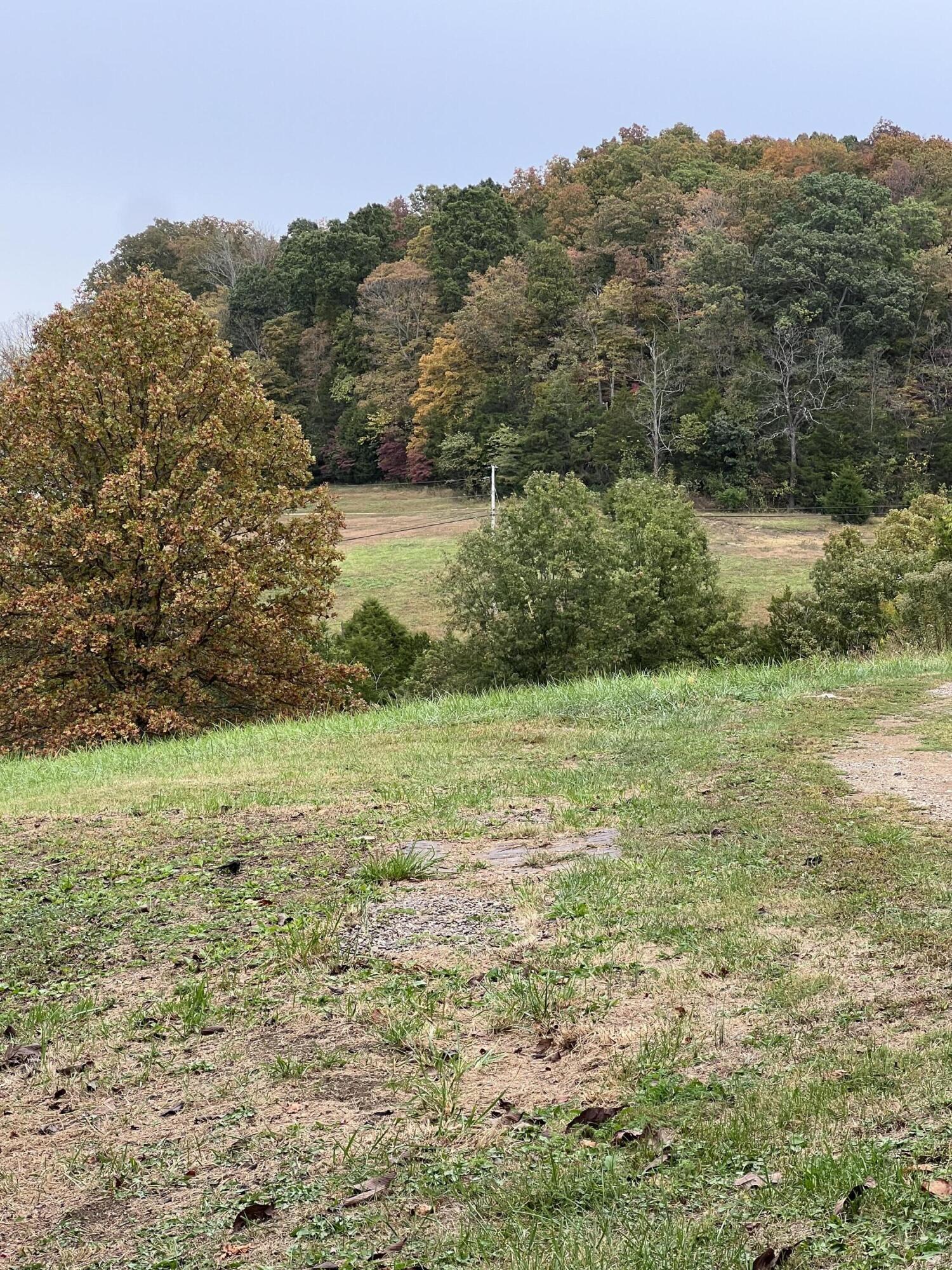 9095 Winchester Road Property Photo 56