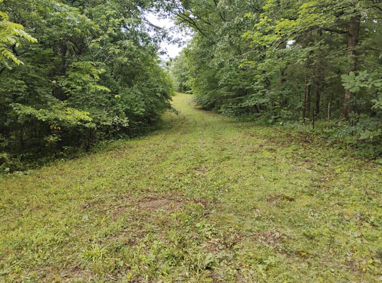 9095 Winchester Road Property Photo 70