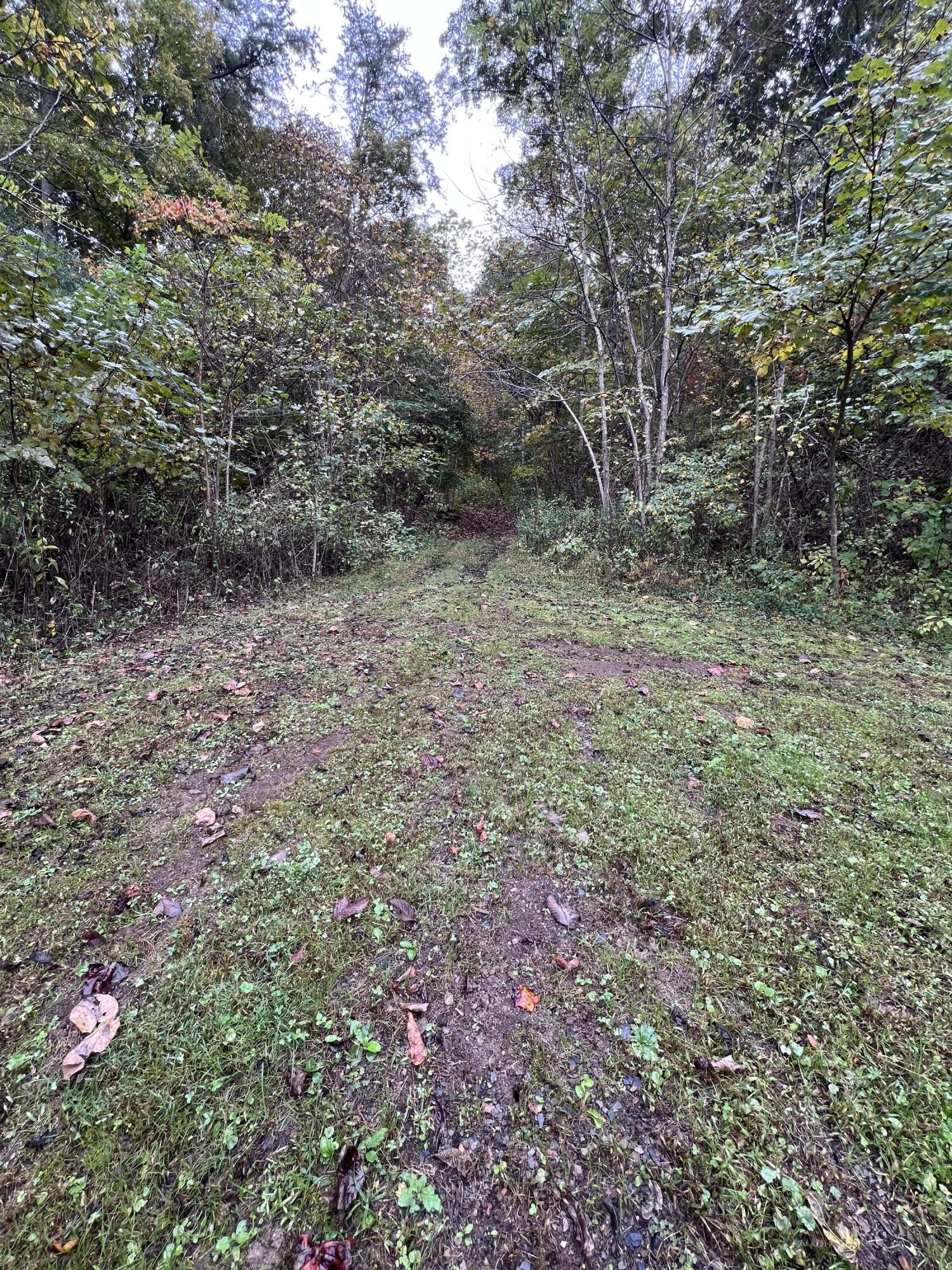 9095 Winchester Road Property Photo 73